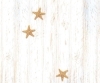 Buchcover und Innenansicht für das Buch: Sommer unter Sternen