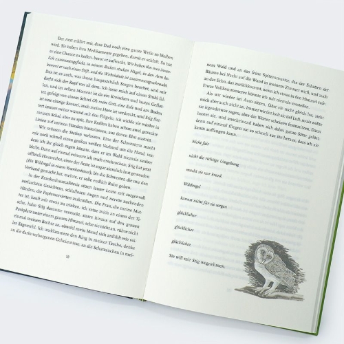 Buchcover und Innenansicht für das Buch: October, October