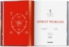 Buchcover und Innenansicht für das Buch: Spirit Worlds