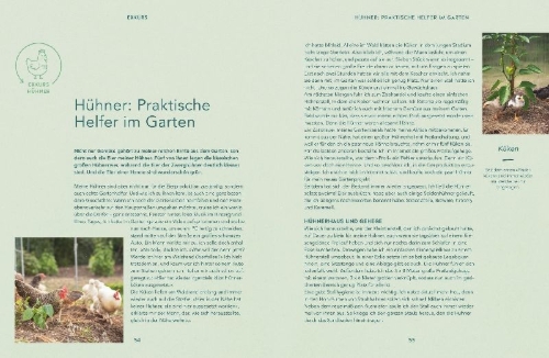 Buchcover und Innenansicht für das Buch: Mehr Power für dein Gemüse