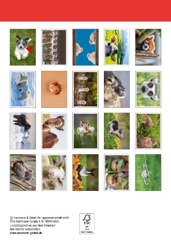 Buchcover und Innenansicht für das Buch: Postkartenblock Lustige Tiere