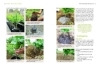 Buchcover und Innenansicht für das Buch: Bio-Wein im eigenen Garten