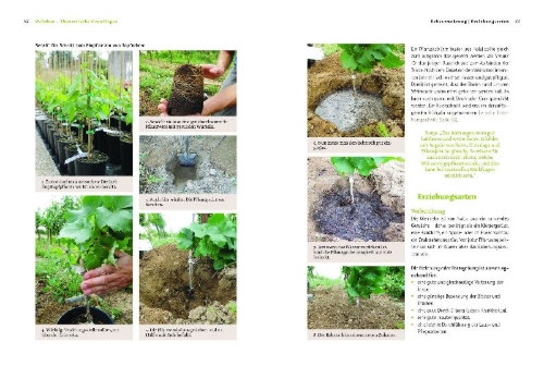 Buchcover und Innenansicht für das Buch: Bio-Wein im eigenen Garten