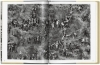 Buchcover und Innenansicht für das Buch: Sebastião Salgado. Gold