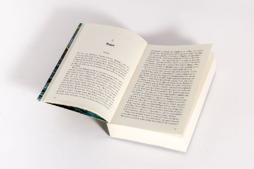 Buchcover und Innenansicht für das Buch: The Summer Guests