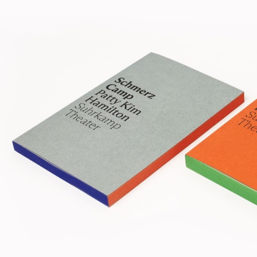 Buchcover und Innenansicht für das Buch: Schmerz Camp