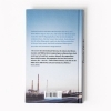 Buchcover und Innenansicht für das Buch: Streulicht