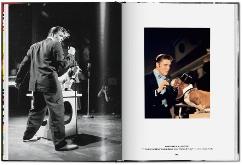 Buchcover und Innenansicht für das Buch: Alfred Wertheimer