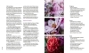 Buchcover und Innenansicht für das Buch: Nachhaltige Schnittblumen