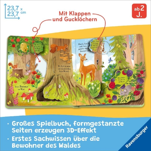 Buchcover und Innenansicht für das Buch: Let's explore: The woods
