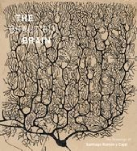 Buchcover und Innenansicht für das Buch: The Beautiful Brain