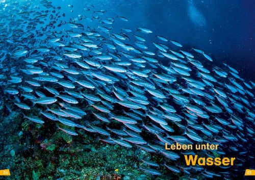 Buchcover und Innenansicht für das Buch: WAS IST WAS Erstes Lesen Band 12. Ozeane