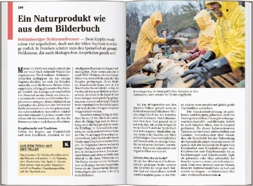 Buchcover und Innenansicht für das Buch: DUMONT Reise-Taschenbuch Reiseführer Franken