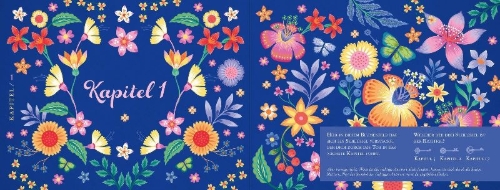 Buchcover und Innenansicht für das Buch: Summer of Mexican Mystery