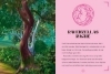 Buchcover und Innenansicht für das Buch: Unicorn Academy - Chapterbook Ravenzellas Revenge