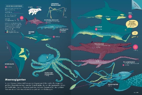 Buchcover und Innenansicht für das Buch: Britannica Children's Encyclopedia Infographica
