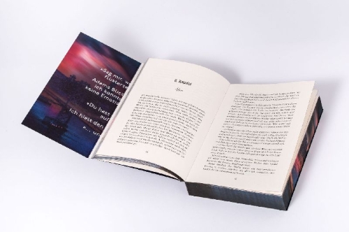 Buchcover und Innenansicht für das Buch: Hunters - Forgetting You