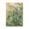 Buchcover und Innenansicht für das Buch: 12-Monatskalender 2027 Cezannes Terrakotta-Töpfe und Blumen Maxi Tagesüberblick