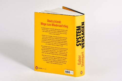 Buchcover und Innenansicht für das Buch: Systemversagen