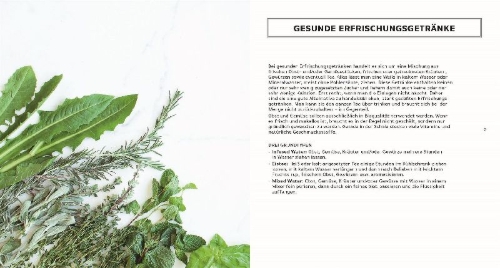 Buchcover und Innenansicht für das Buch: Infused Water, Eistee & Co.