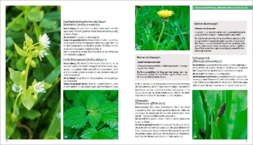 Buchcover und Innenansicht für das Buch: Jardiner sans produits chimiques