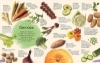 Buchcover und Innenansicht für das Buch: Yummy Veggie!