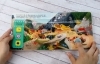 Buchcover und Innenansicht für das Buch: First Explorers - Sea Creatures