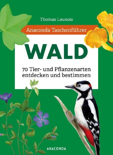 Buchcover und Innenansicht für das Buch: Le petit guide de la forêt