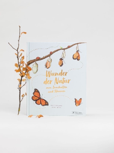Buchcover und Innenansicht für das Buch: Slow Down