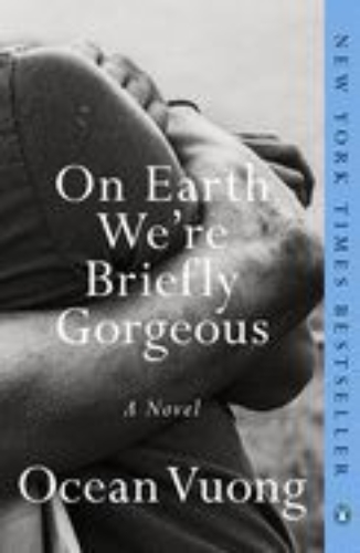 Buchcover und Innenansicht für das Buch: On Earth We're Briefly Gorgeous