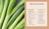 Buchcover und Innenansicht für das Buch: 1 Pfanne - 50 Rezepte