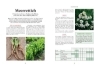 Buchcover und Innenansicht für das Buch: Der Survival-Garten - Gemüse- und Obstsorten, die allen Widrigkeiten trotzen