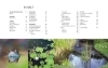 Buchcover und Innenansicht für das Buch: Leben am Gartenteich