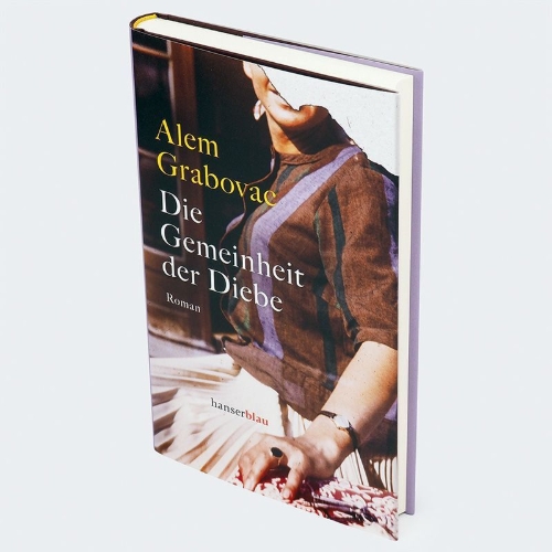 Buchcover und Innenansicht für das Buch: Die Gemeinheit der Diebe