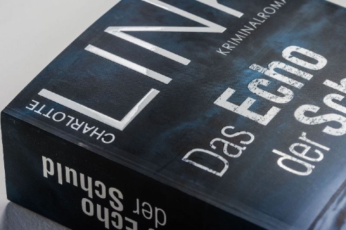 Buchcover und Innenansicht für das Buch: Das Echo der Schuld