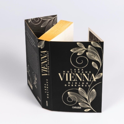 Buchcover und Innenansicht für das Buch: Vienna 2: Hiding Darkness