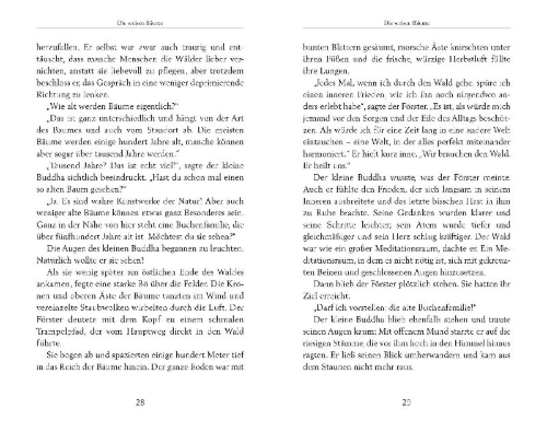 Buchcover und Innenansicht für das Buch: Der kleine Buddha und das Wunder der Zeit