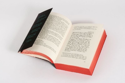 Buchcover und Innenansicht für das Buch: Vermisst - Der Fall Lucas