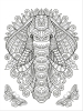 Buchcover und Innenansicht für das Buch: Mein Mandala-Tier-Malbuch - Wilde Tiere