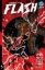 Buchcover und Innenansicht für das Buch: Absolute Flash Vol. 2: Still Point