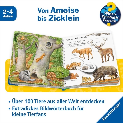Buchcover und Innenansicht für das Buch: Wieso? Weshalb? Warum? Mein junior-Lexikon: Tiere