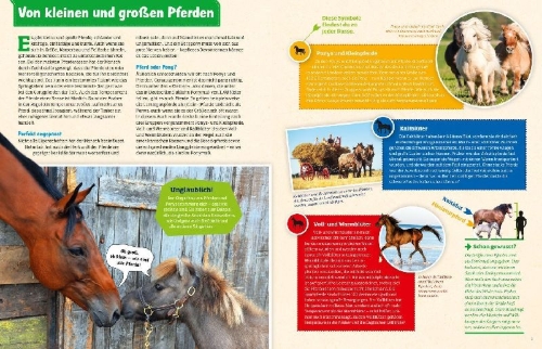 Buchcover und Innenansicht für das Buch: Was ist was: Pferde und Ponys