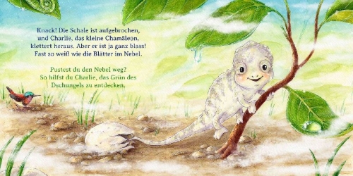Buchcover und Innenansicht für das Buch: Schau mal, alle meine Farben