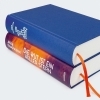 Buchcover und Innenansicht für das Buch: Die Wut ist ein heller Stern