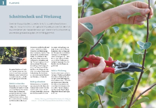 Buchcover und Innenansicht für das Buch: Obstgehölze schneiden