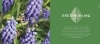 Buchcover und Innenansicht für das Buch: Quickfinder Artenvielfalt im Gartenjahr