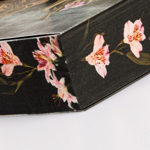Buchcover und Innenansicht für das Buch: A Dance with the Fae Prince