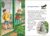 Buchcover und Innenansicht für das Buch: Das magische Baumhaus junior (Band 42) - Das rätselhafte schwarze Pferd