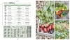Buchcover und Innenansicht für das Buch: Mit dem Hochbeet durchs Jahr