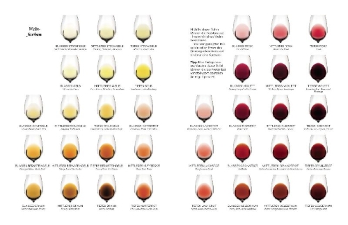 Buchcover und Innenansicht für das Buch: Wine Folly ¿ Magnum Edition. The Master Guide